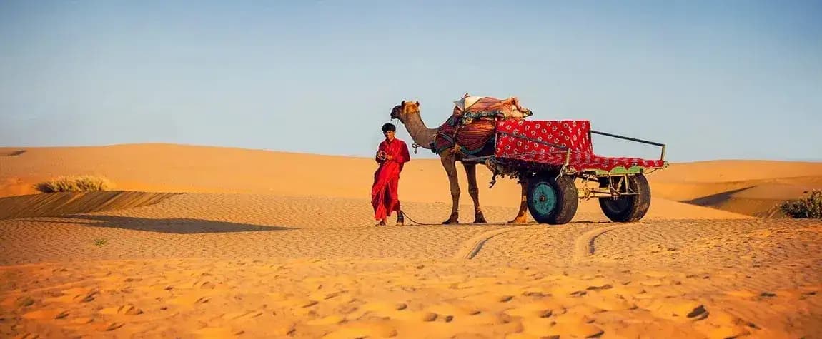 Thar Desert camel ride