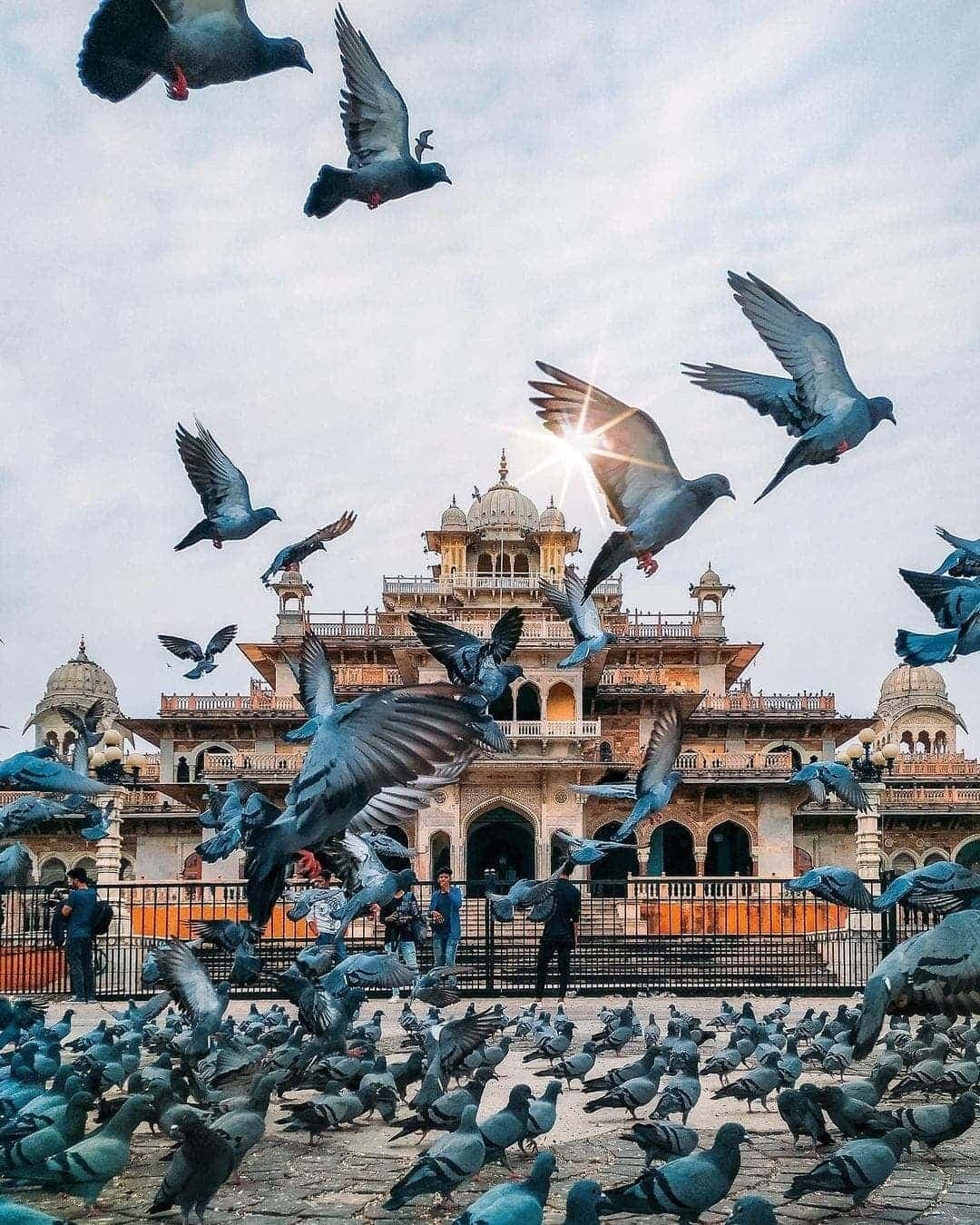 5 Days Rajasthan Tour Guide