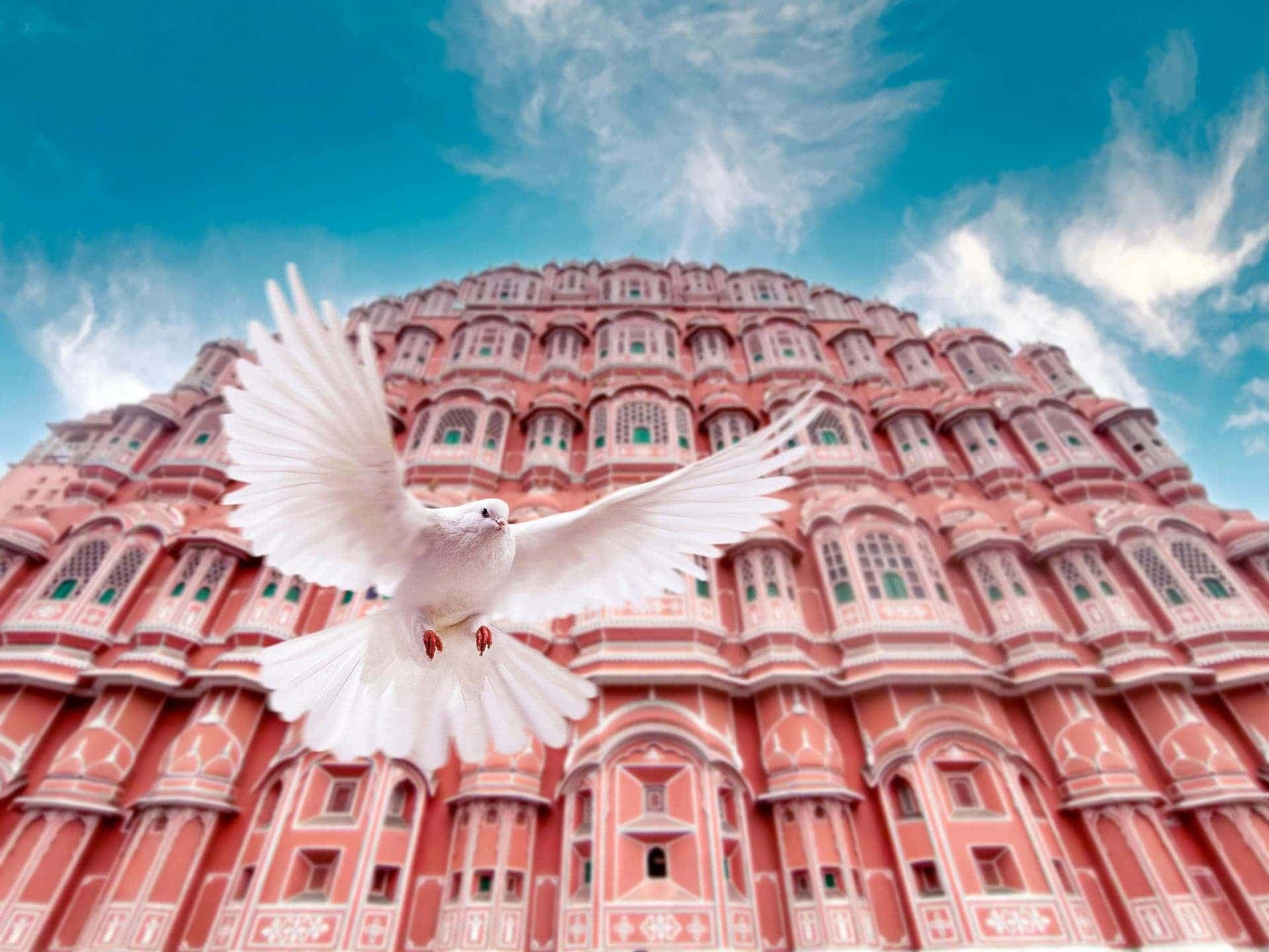 8 Days Rajasthan Tour Guide